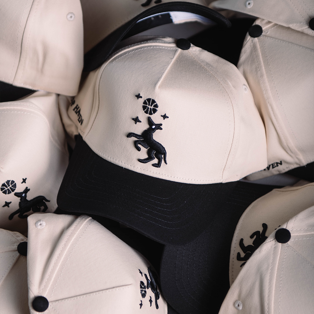 MAN'S BEST FRIENDS SNAPBACK